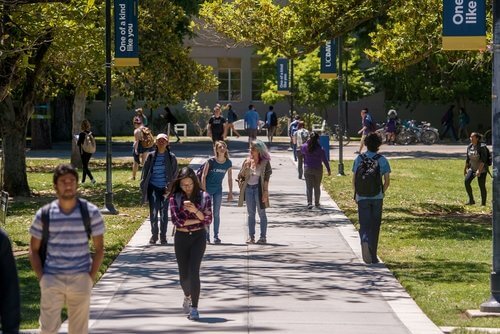 加州大學戴維斯分校（University of California, Davis），簡稱 UCD