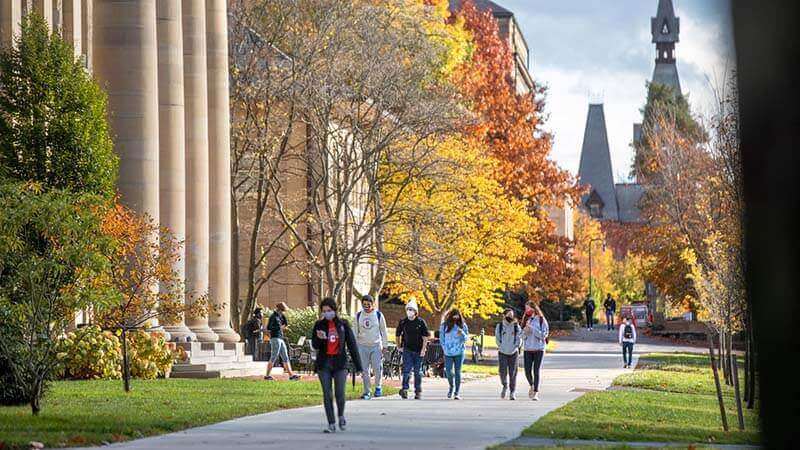 康乃爾大學（Cornell University ）