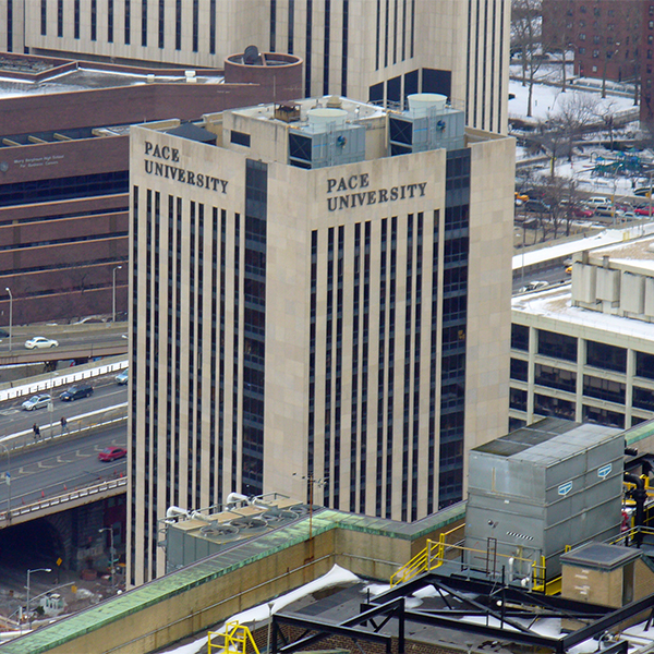 佩斯大學 Pace University