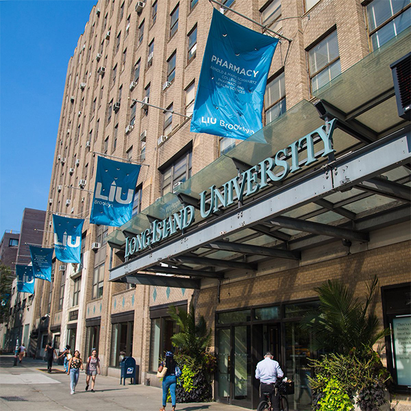 長島大學-布魯克林分校（Long Island University, Brooklyn）是一所位於紐約的私立大學