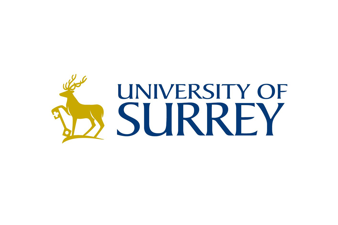 University of Surrey薩里大學【Study Group】